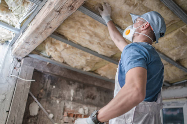 Best Insulation Maintenance and Repair in Attla, AL